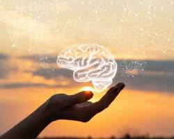 Meditación y neurociencia: Cómo se activa la mente