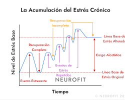 La conexión entre la meditación y la mejora del sueño