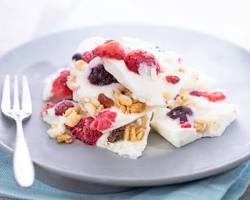 Yogur congelado de frutas
