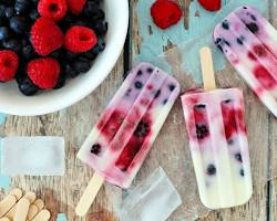 paletas de yogur